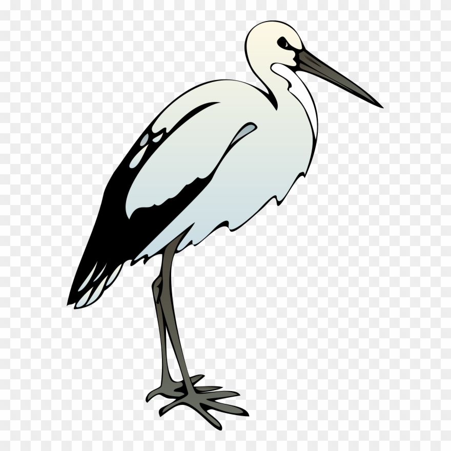 Bird 41 Free Vector Clipart