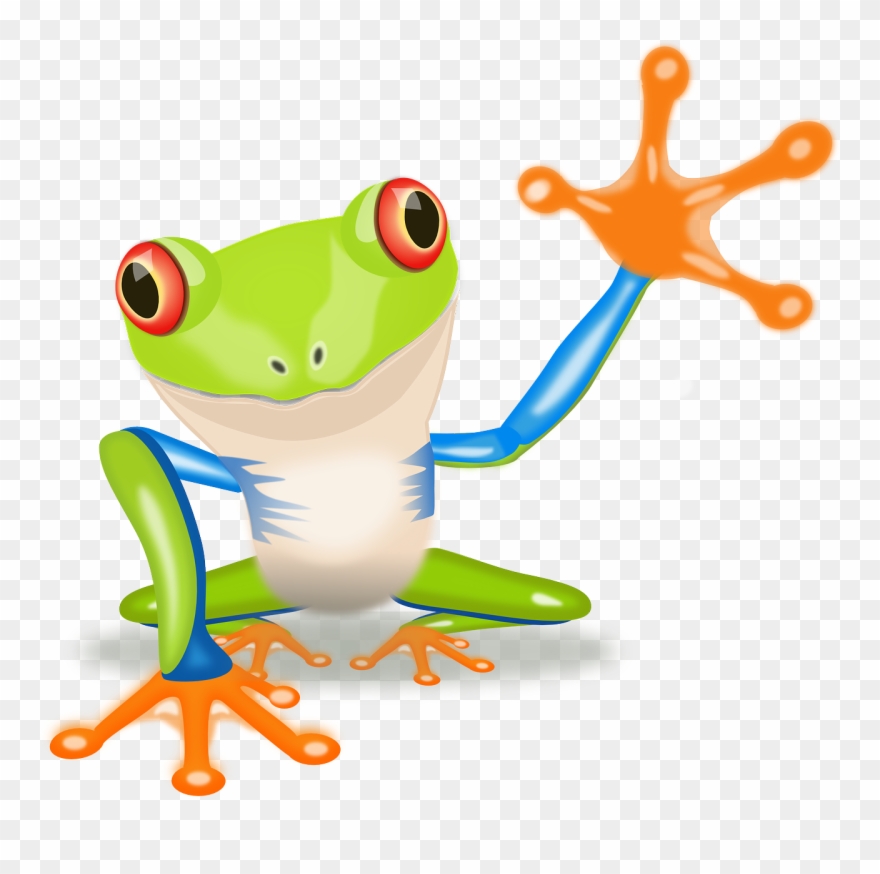 Waving Frog Clip Art At Clipart Library - Costa Rica Frog Clip Art - Png Download