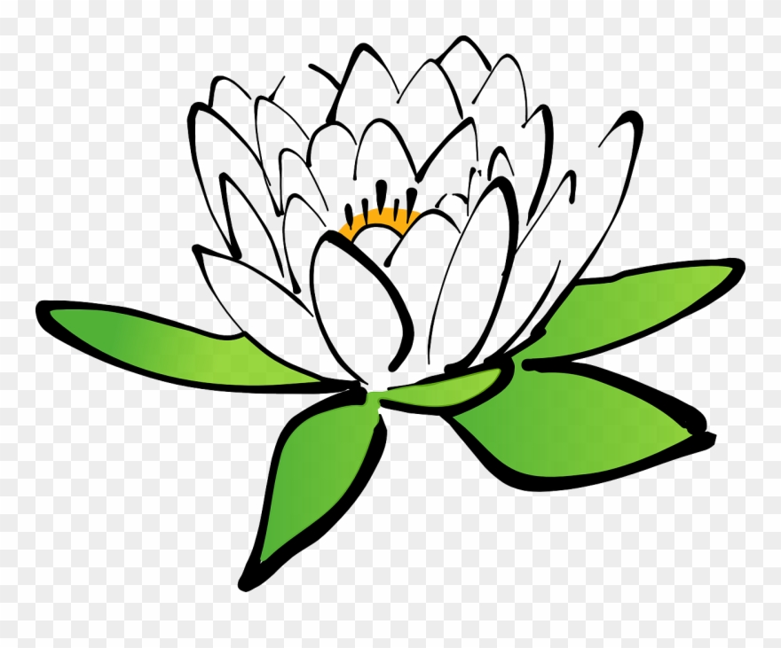 Lotus Flower Water Lily White - Gambar Bunga Teratai Animasi Clipart