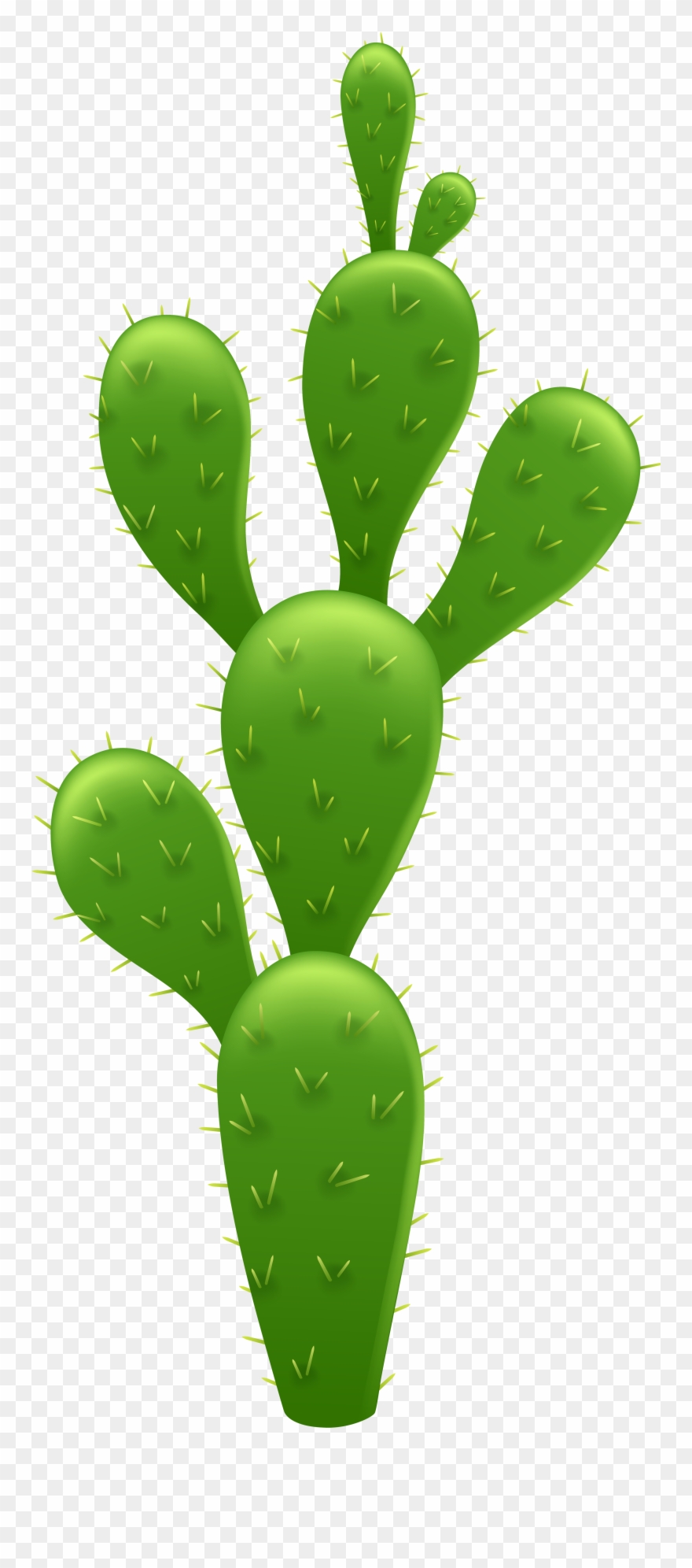 Transparent Background Cactus Clipart - Png Download