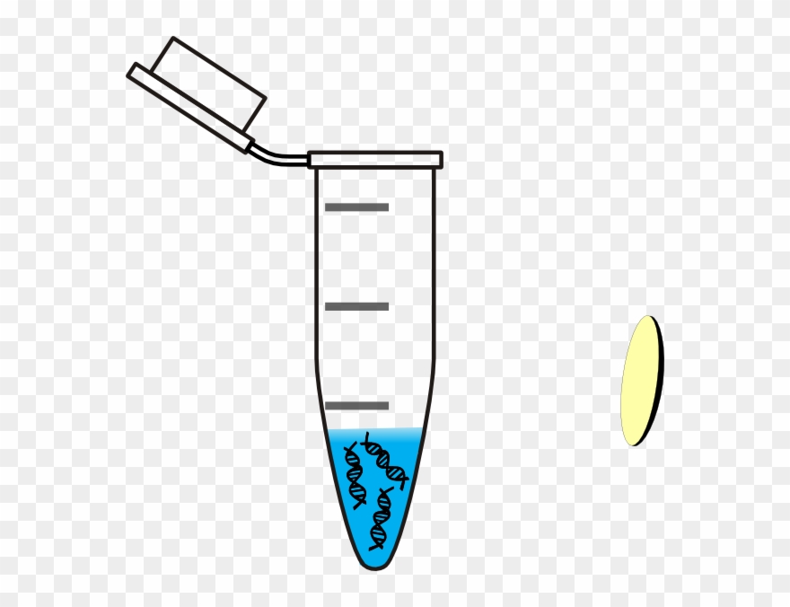 Tube Clipart Water Testing - Eppendorf Tube With Dna - Png Download