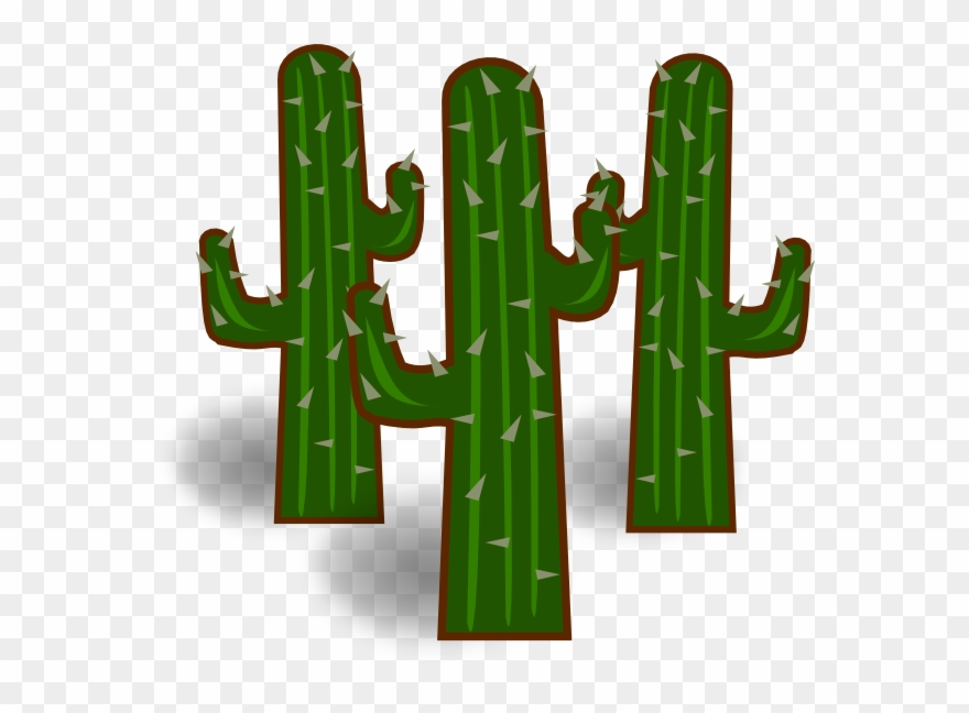 Cactus Clipart San Pedro - Transparent Clipart Cactus Image Png