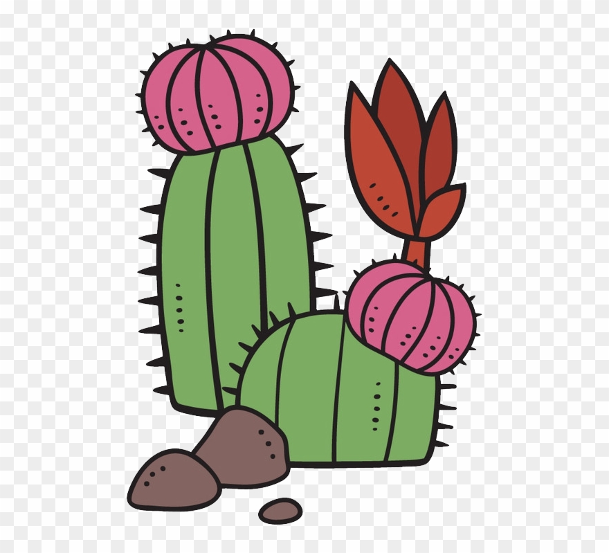 Succulent Plant Cartoon Cactaceae Clipart