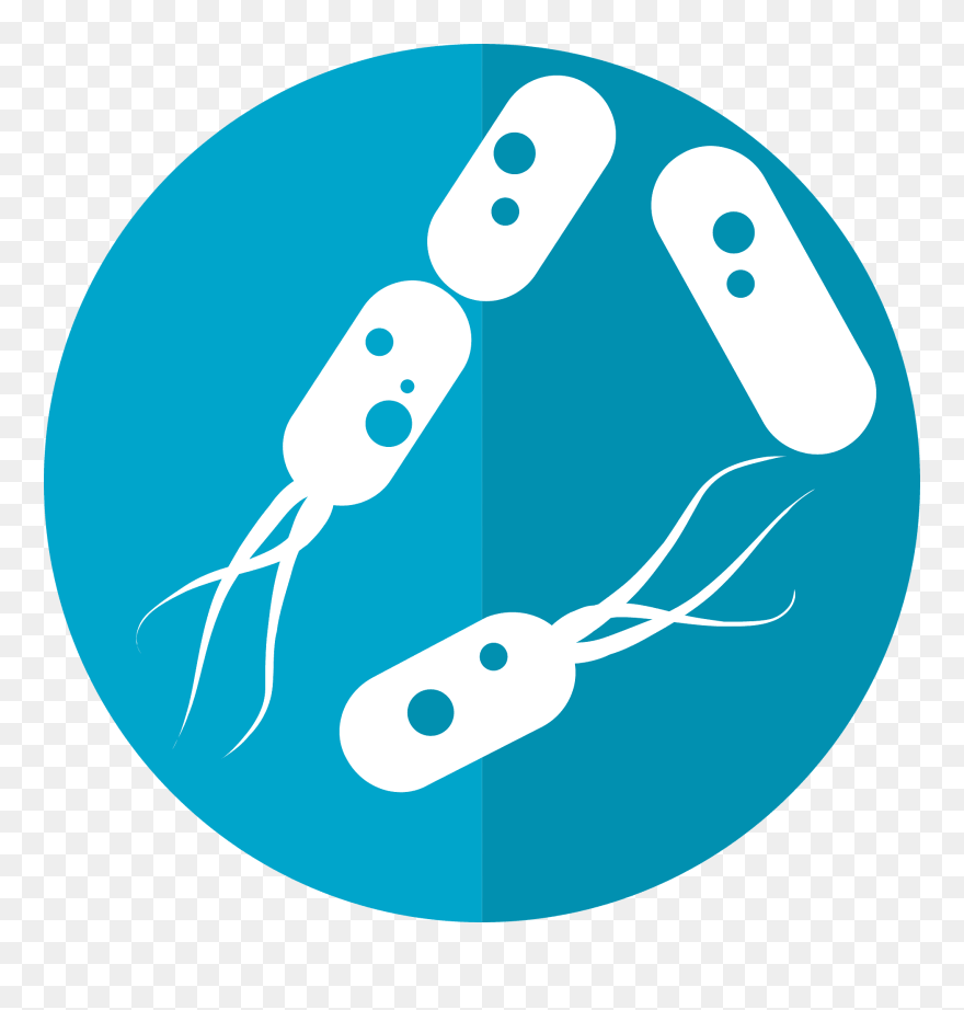Vector Bacteria Water Clipart - Bacteria Icon - Png Download