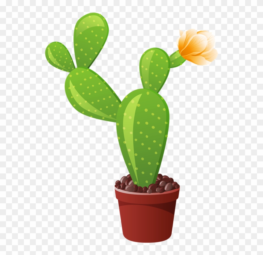 1 Indoor Flowers, Flower Pots, Cactus Art, Flower Clipart, - Different Types Of Cactus - Png Download