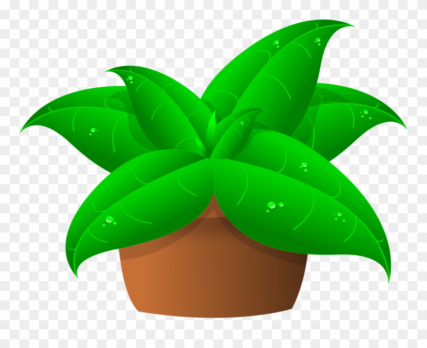 Plants In Pot - Green Plant Clipart - Png Download