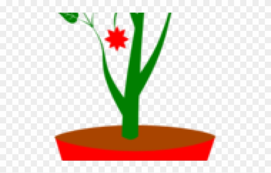 Potted Plants Clipart Transparent Background - Clip Art - Png Download