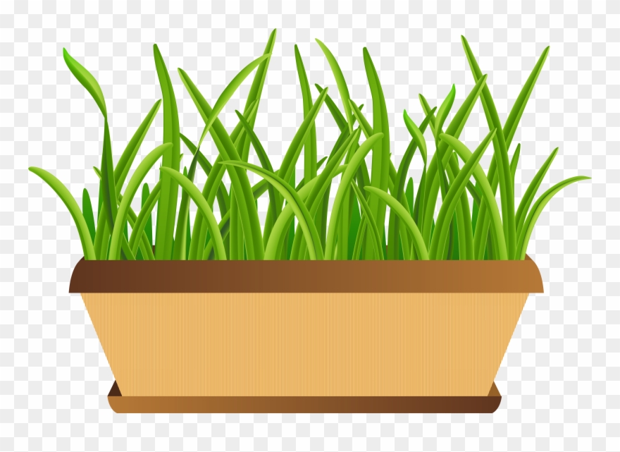 Flowerpot With Grass Transparent Png Clip Art Imageu200b - Flowar Pot Png