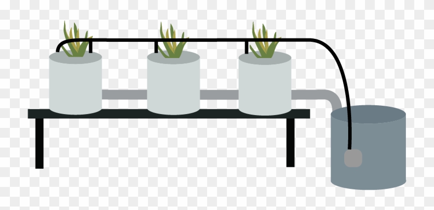 Dutch Bucket - Dutch Bucket Hydroponic System Clipart