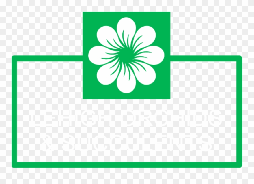 Lehigh Orchids & Succulents Clipart