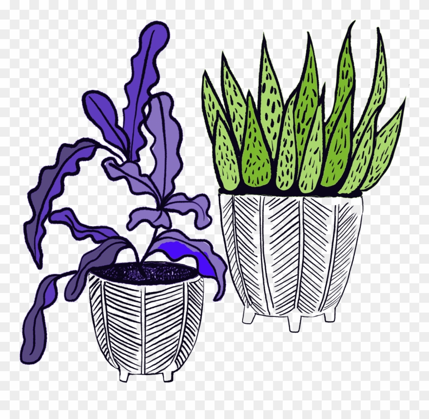 Succulents Brewery Clipart