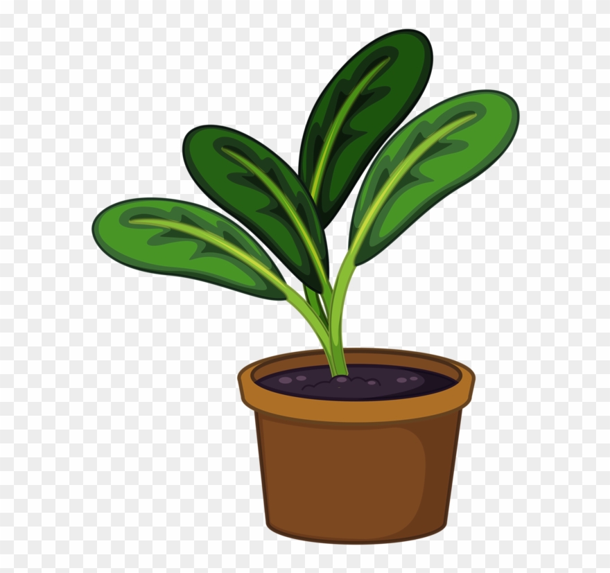 Pot Plant Clipart Transparent - Plants In Pots Clipart - Png Download