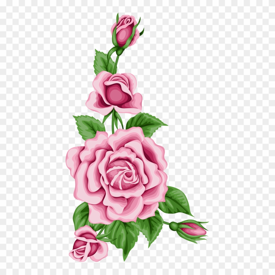 Flower Card With Colorful Roses Png Pinterest - Pink Flower Border Png Clipart