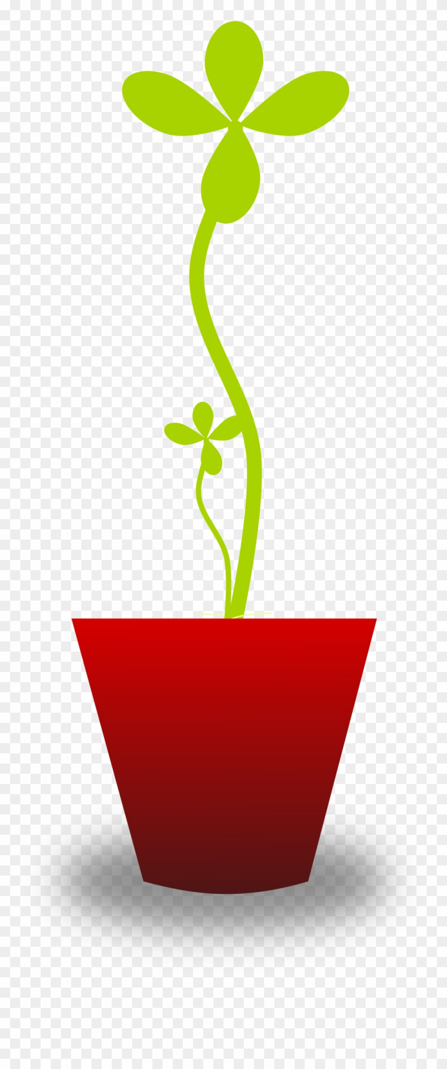 Potted Plants Clipart Sapling - Flowerpot - Png Download