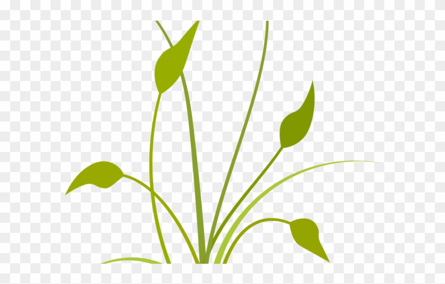 Potted Plants Clipart Seedling - Spiritual Clipart - Png Download