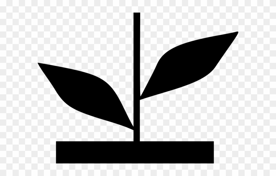 Potted Plants Clipart 5 Flower - Png Download