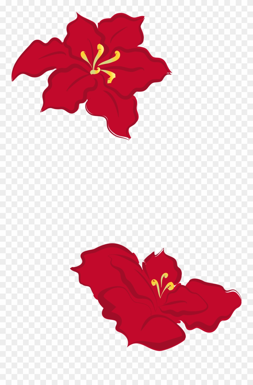 Designed For Decoration With Poinsettia Leaf Flowers - Design Clipart