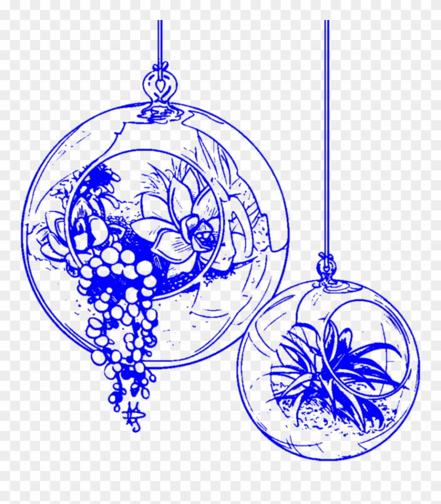 Aesthetic Blue Handdrawn Terrarium Succulent Succulent - Succulent Plant Clipart