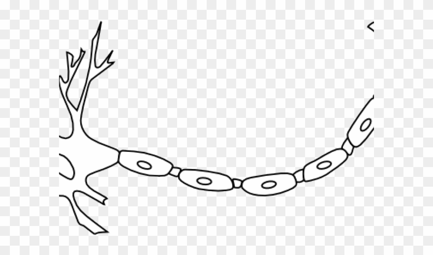 Neuron Clipart Cartoon - Png Download