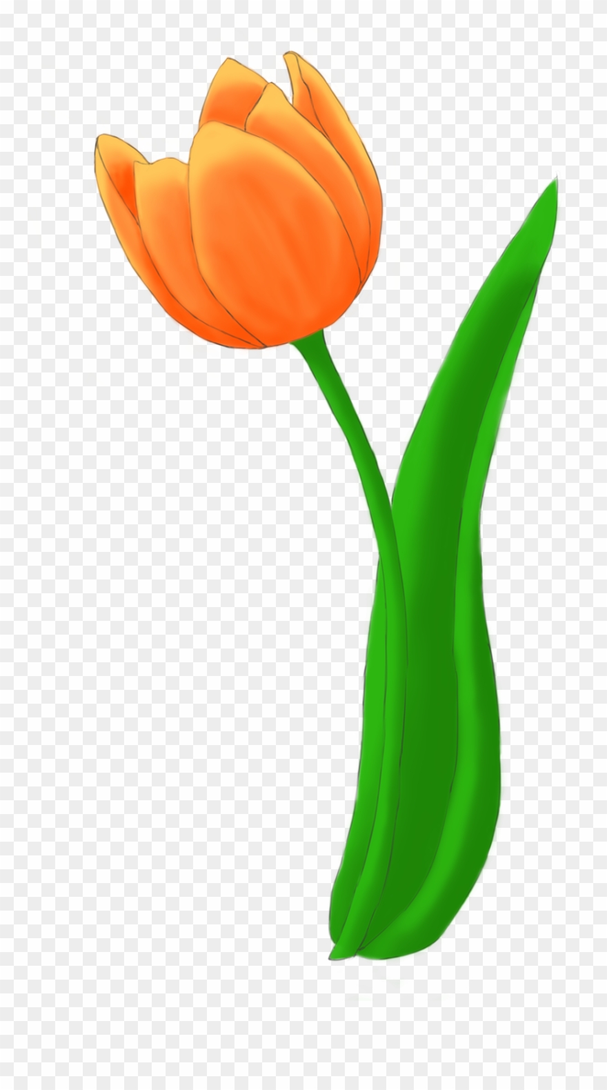 Tulip Bouquet Example Image Clipart
