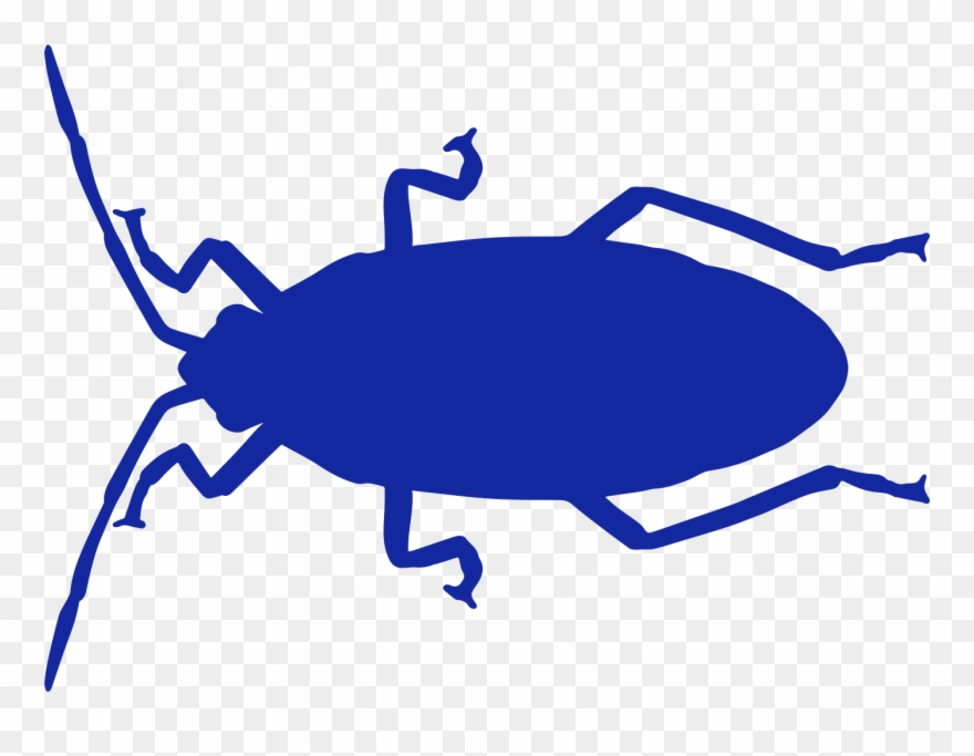 Cockroaches Clipart