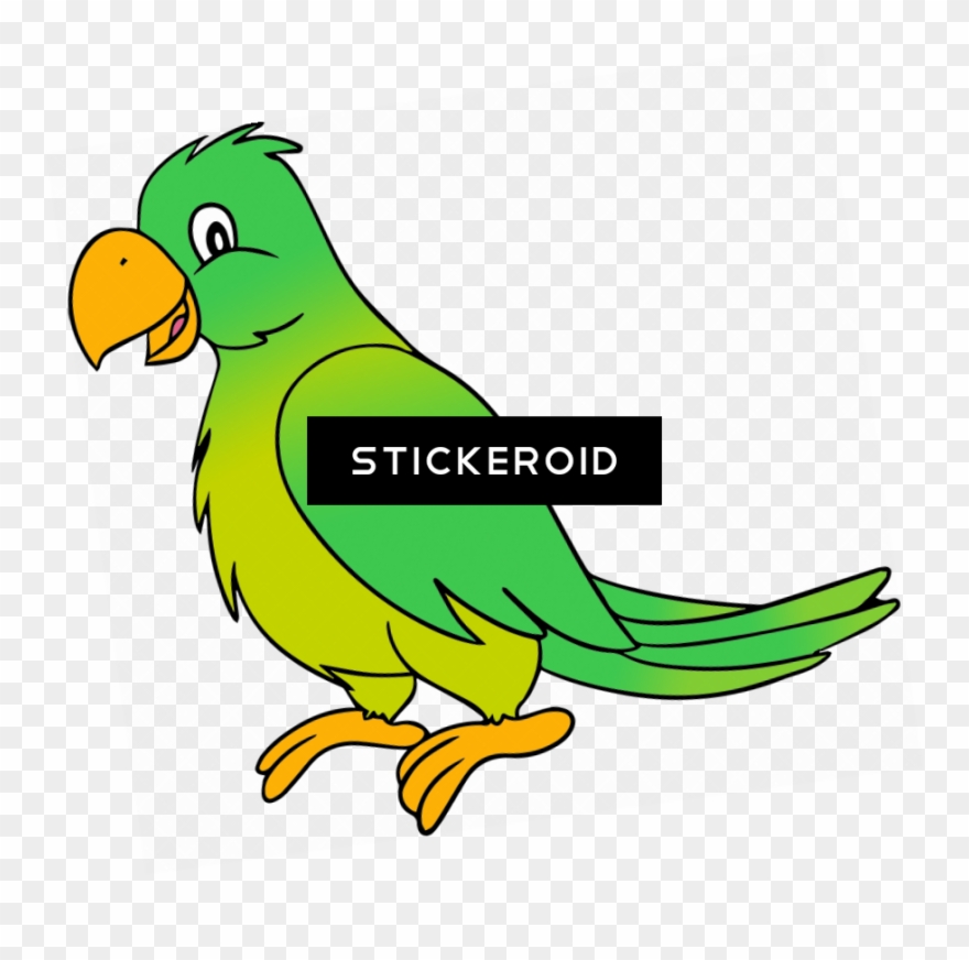 Cute Parrot Clipart