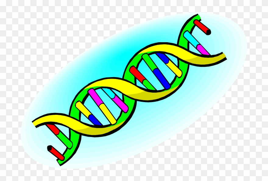 All 4 A Level Ocr Biology Crossword Packs Clipart