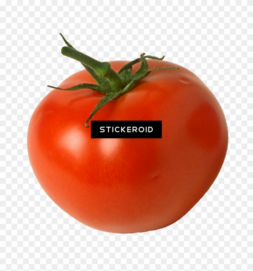 Tomato Clipart