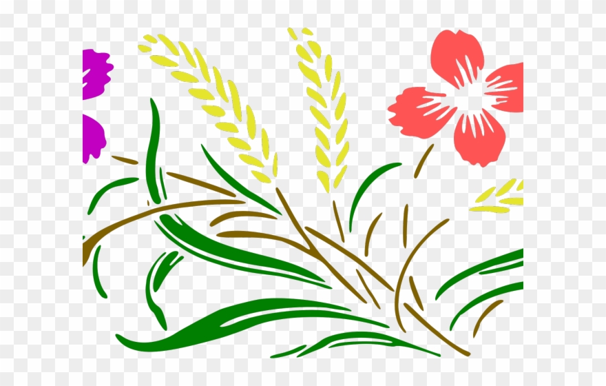 Floral Clipart Colour - Png Download