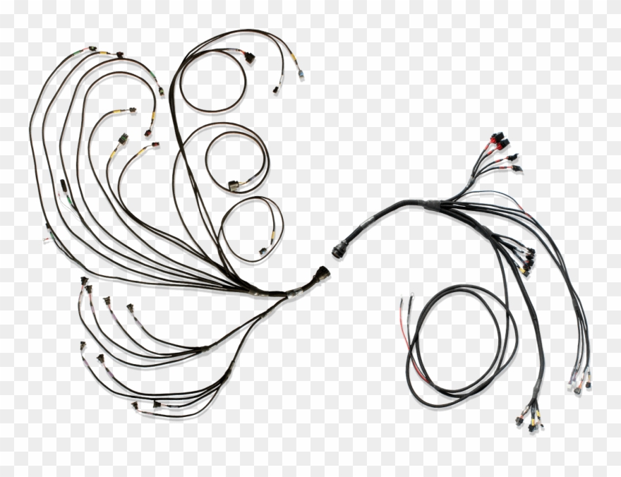 Pro600 V8 Complete Harness Clipart