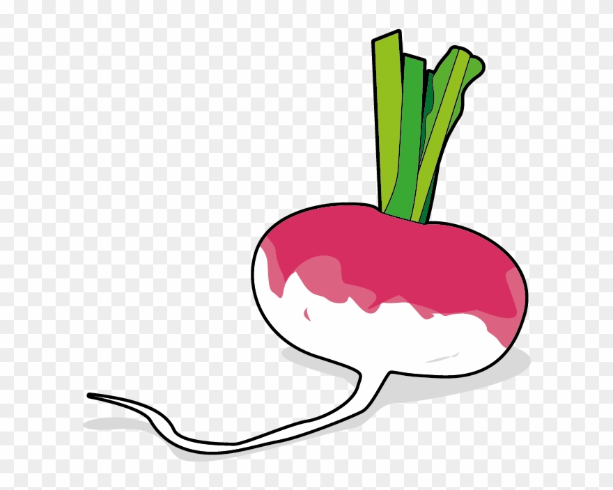 Navet Icone D Un Navet Ailmacocotte Clipart Pinclipart