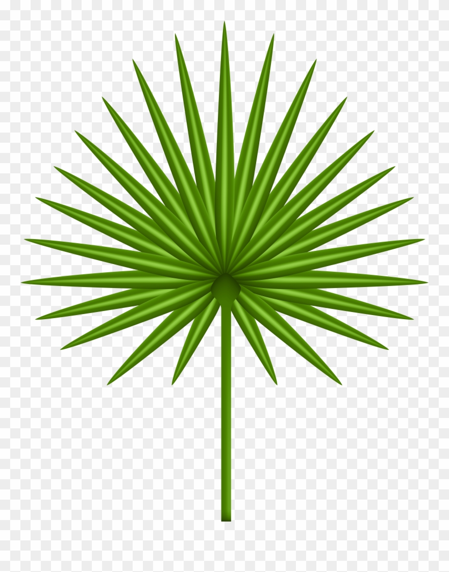 Exotic Clipart - Png Download