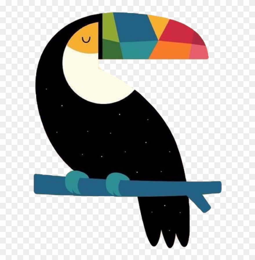 Parrot Bird Exotic Tropical Beak Freetoedit Clipart
