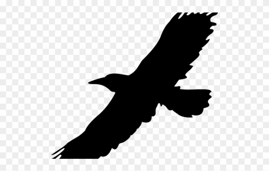 Black Eagle Clipart Raven - Png Download