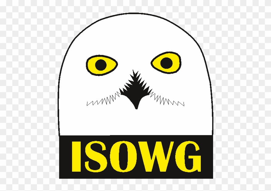 Clipart Transparent Snowy Owl Real Pictures Gif Clipart - Png Download