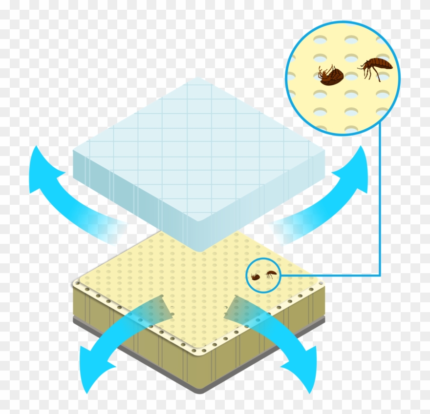 Arthrocase Bed Bug Box Spring Cover Clipart