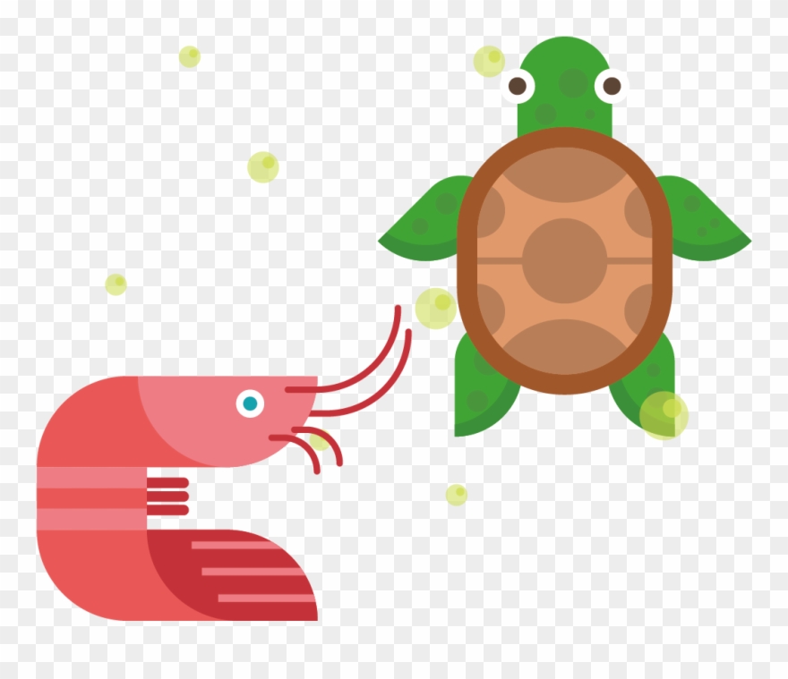 Icon Design Cartoon Turtle And Transprent Clipart