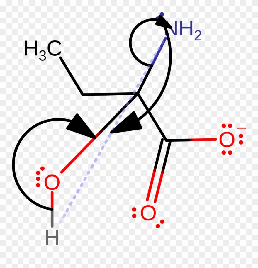Final Step Of The External Hydrolysis Of The Product Clipart