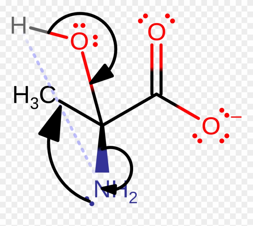Final Step Of The Non-enzymatic Hydrolysis Clipart