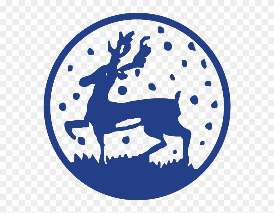 Jellyfish Friends Clipart