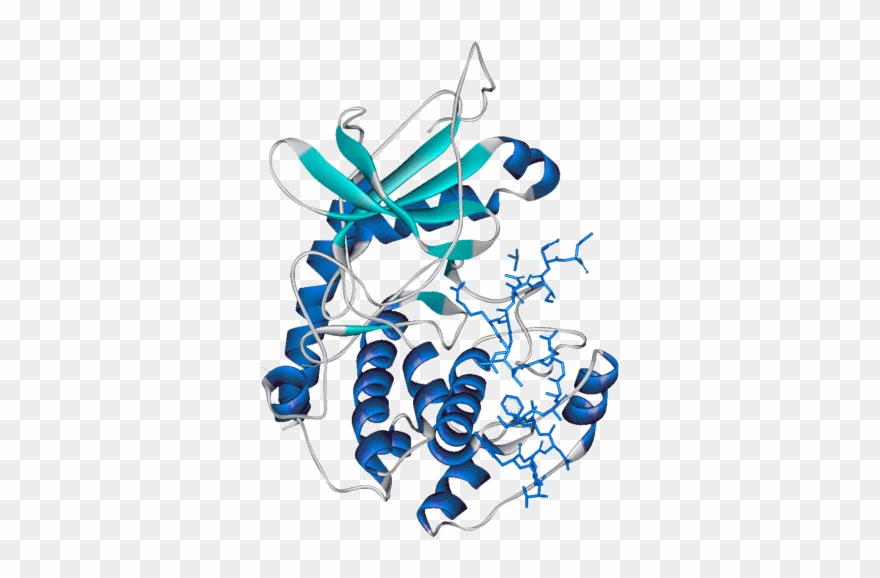 Share On Facebook Clipart