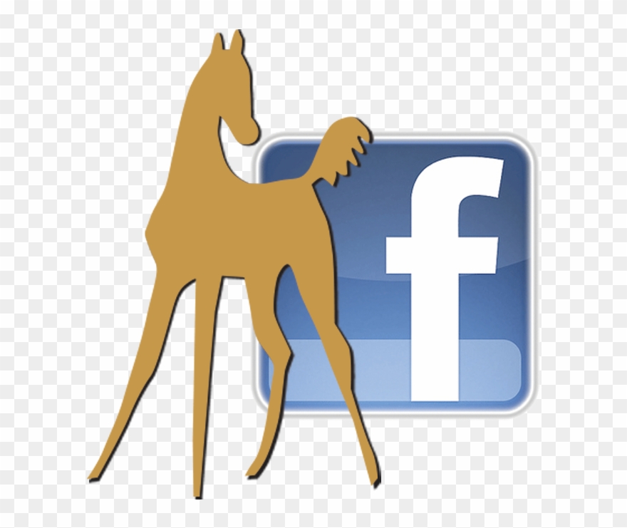 Warmbloodstallionsna On Facebook Warmbloodstallionsna Clipart