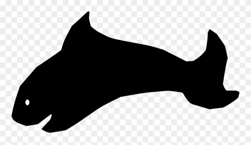 All Photo Png Clipart Transparent Png