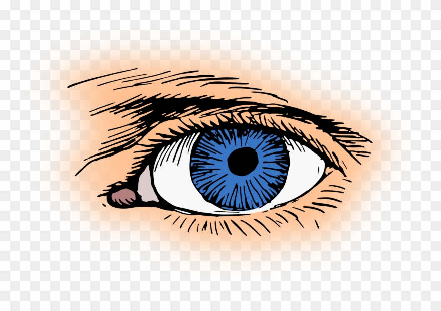 Eye Color Iris Pupil Visual Perception Clipart