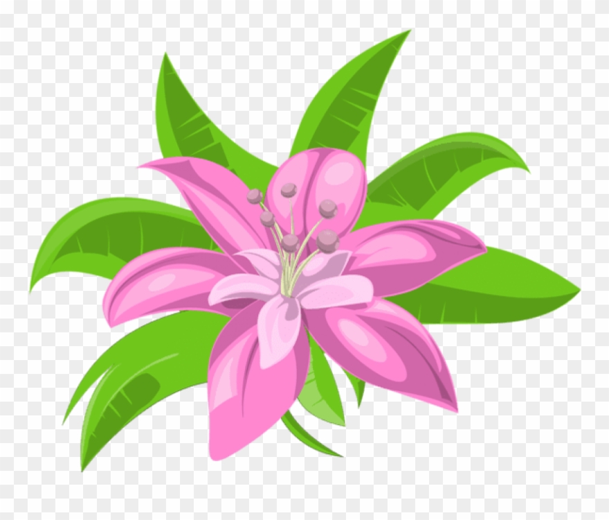 Download Pink Exotic Flower Png Images Background Clipart