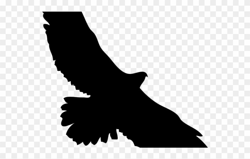 Harris Hawk Clipart Kite Bird - Png Download