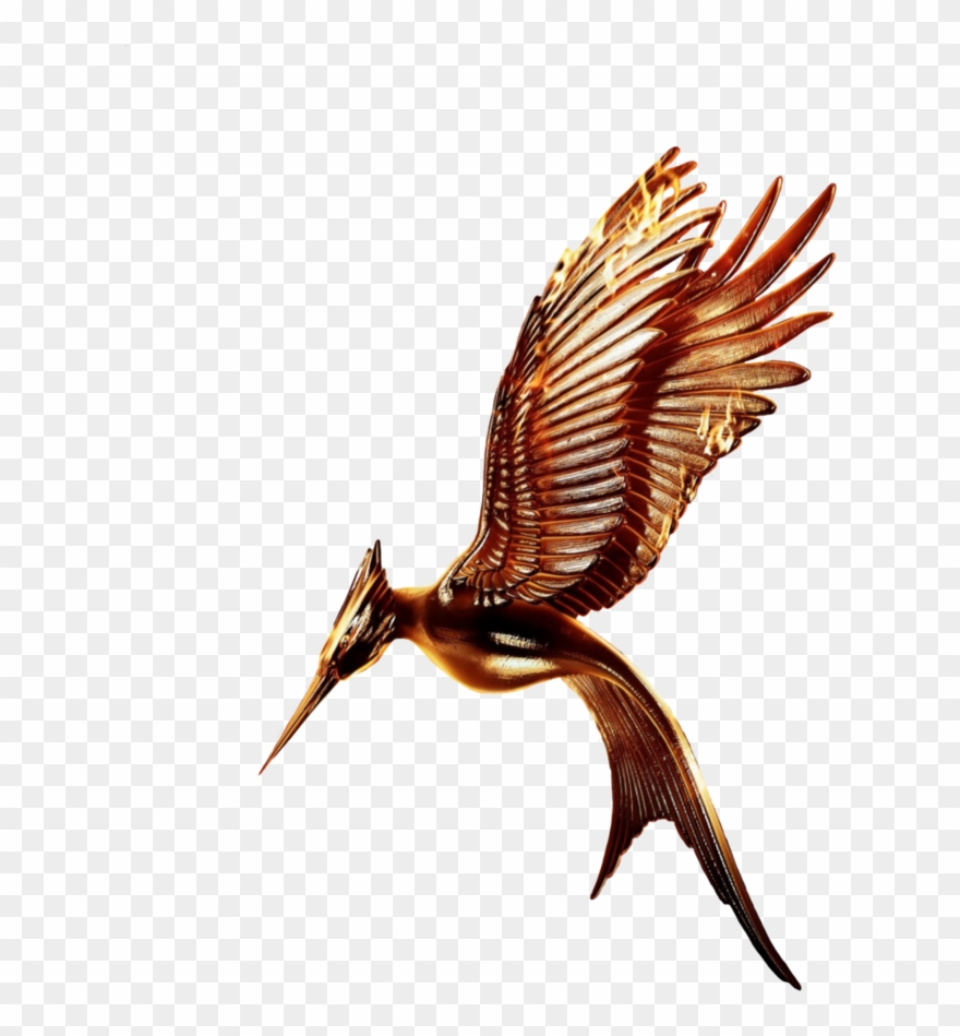 Movie Transparent Without Ring Clipart