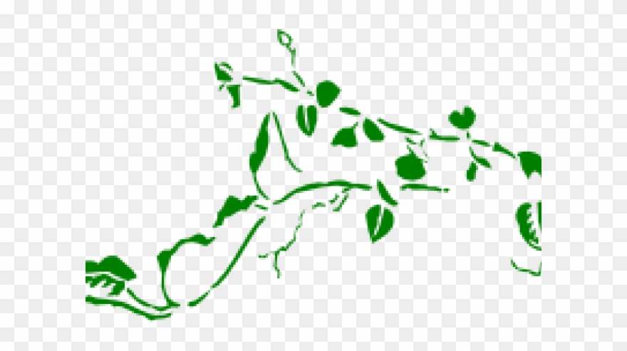 Ivy Clipart Long Vine - Png Download