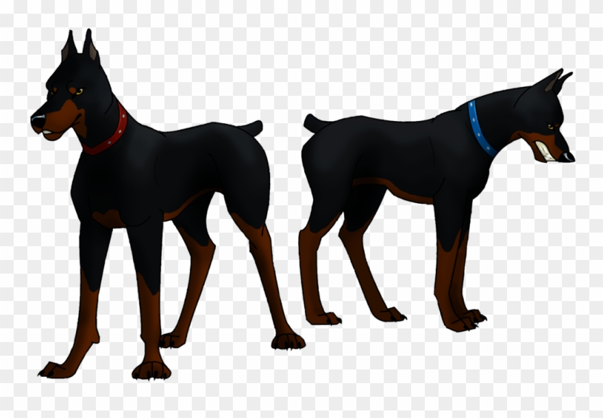 Head Clipart Doberman - Png Download