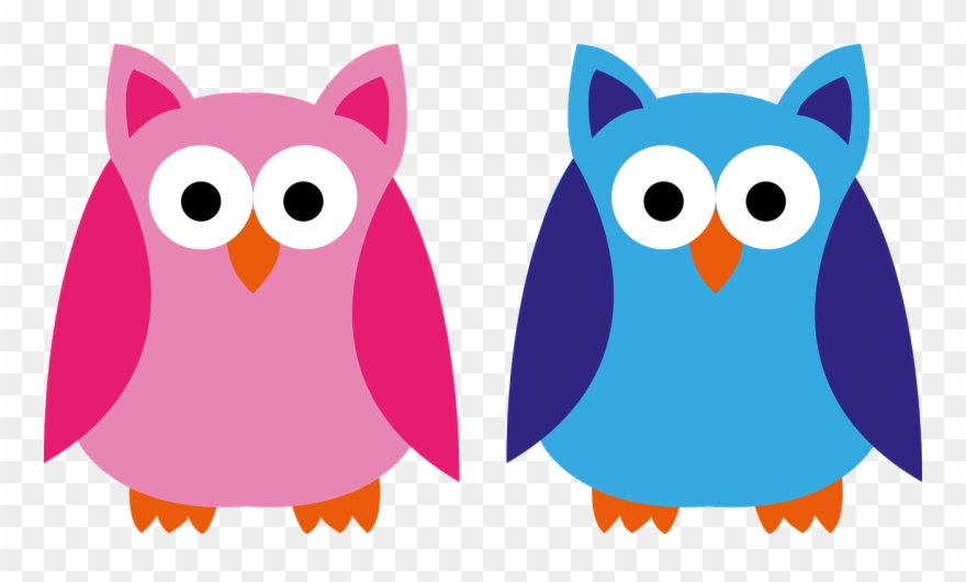 Owl Blue Pink Boy Girl Png Image Clipart